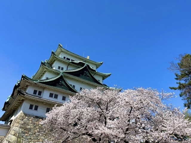 久しぶりのお城めぐり