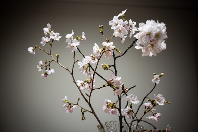 大人になってからの本音には、静かな居場所が必要になる